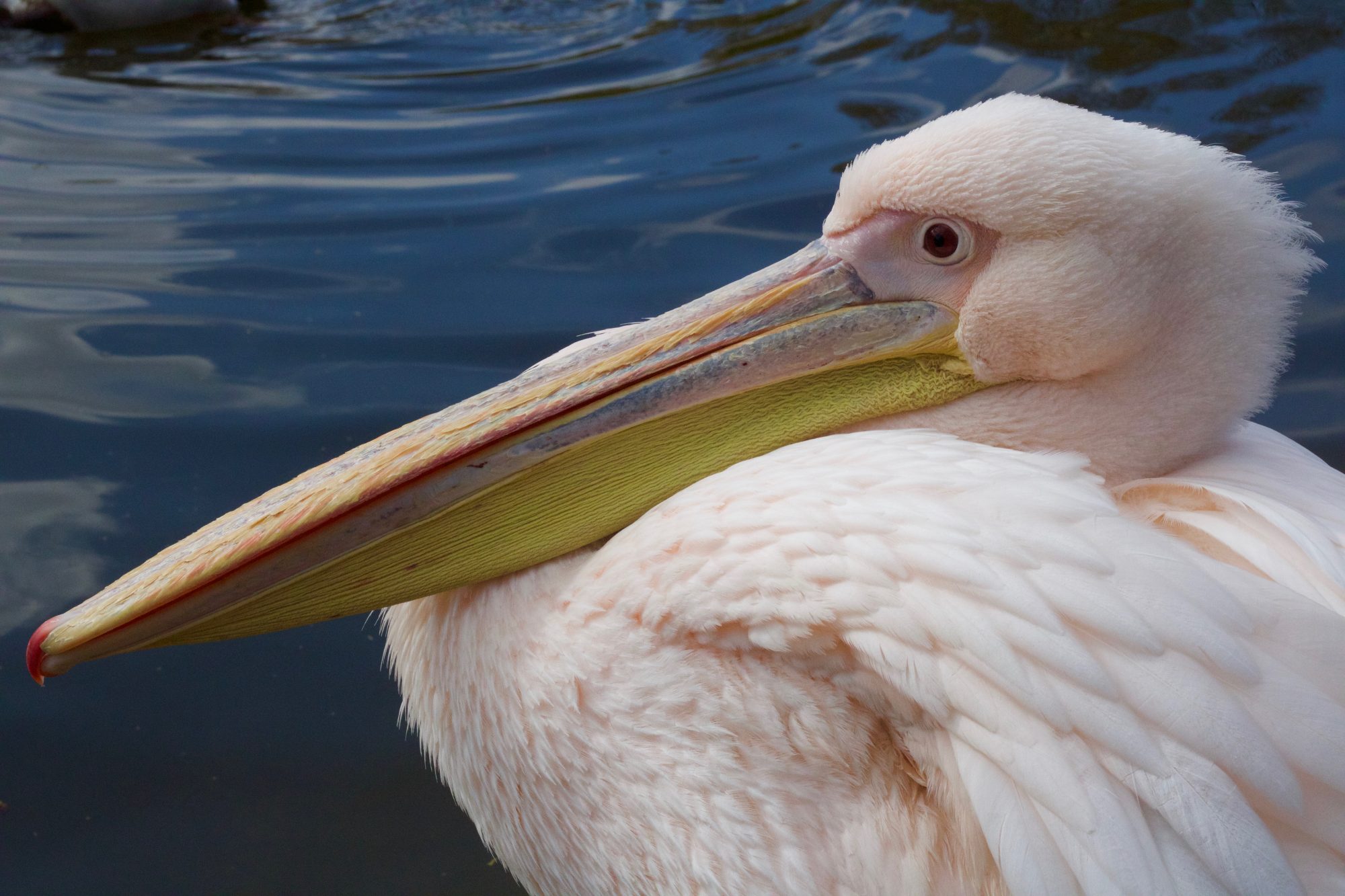 fernando-alvarez-rodriguez-M7GddPqJowg-unsplash