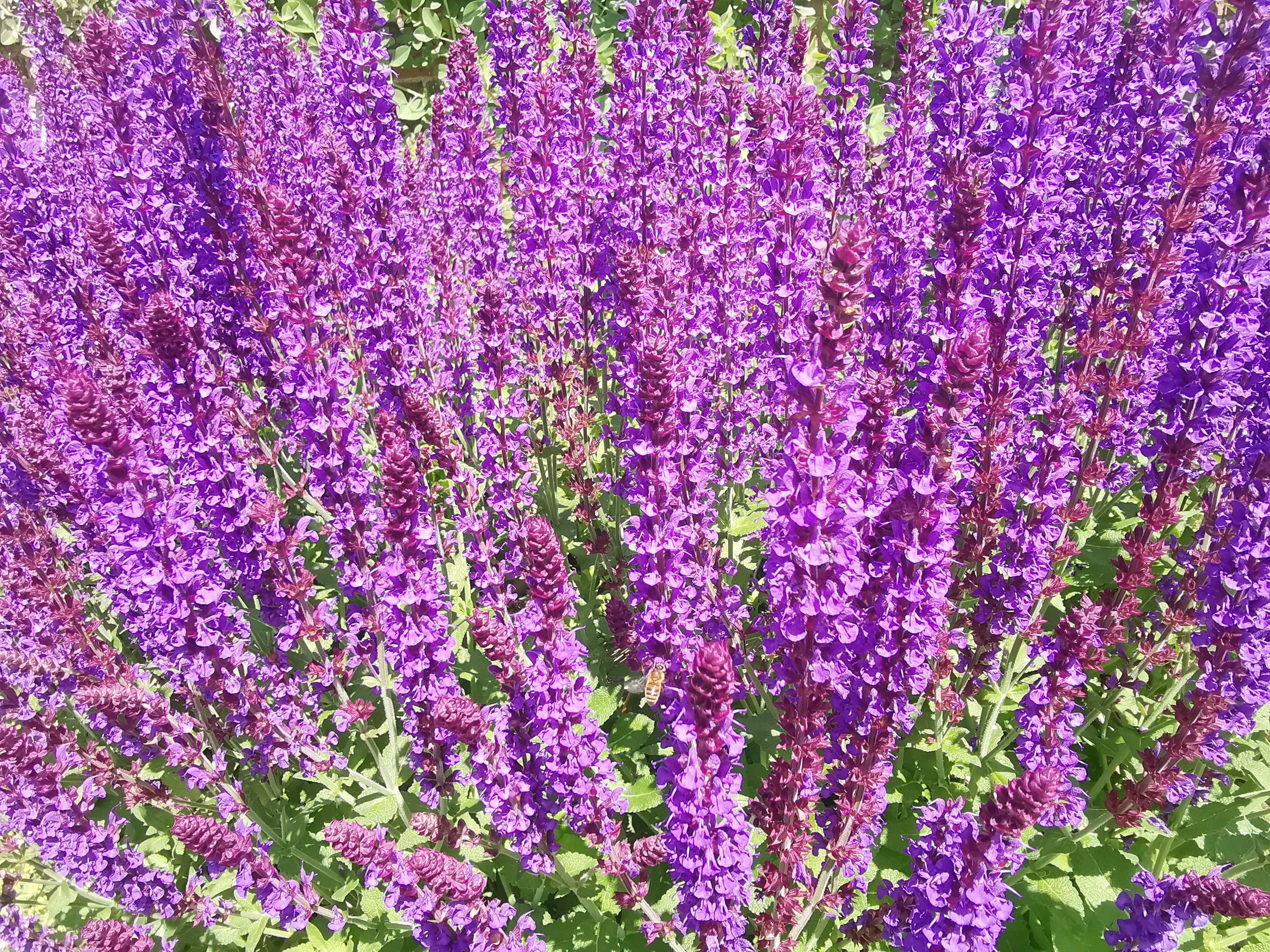 fernando-alvarez-rodriguez-M7GddPqJowg-unsplash