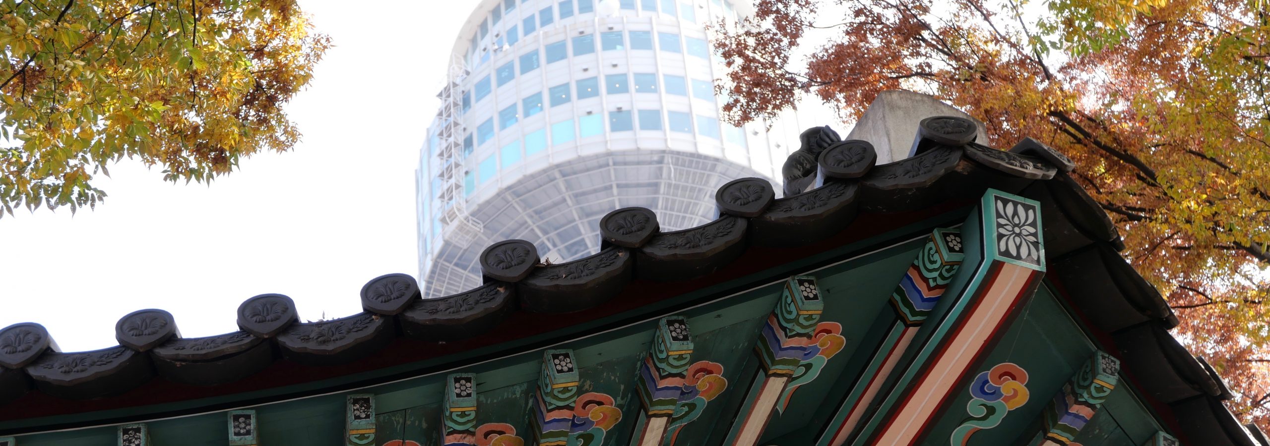 fernando-alvarez-rodriguez-M7GddPqJowg-unsplash